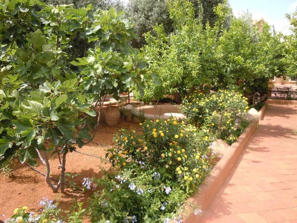 Jnane Ines Riad