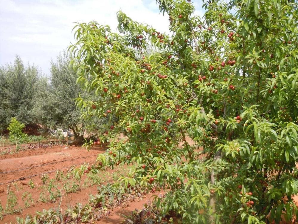 Jnane Ines Riad Taroudant