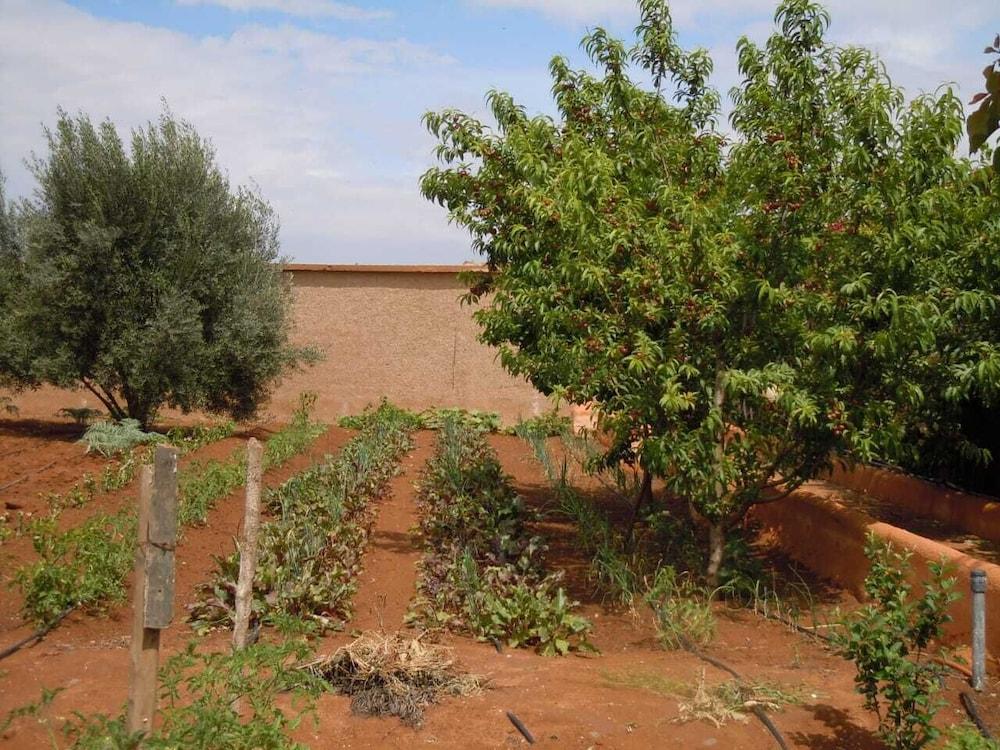 Jnane Ines Riad